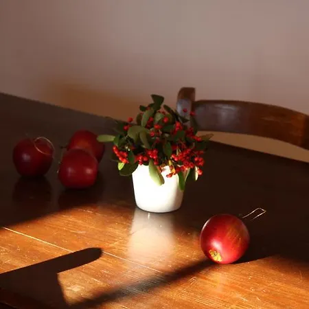 Il Casale Nella Natura * Assisi