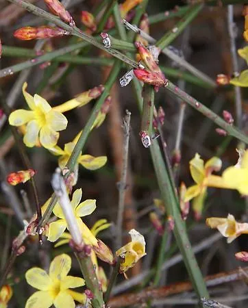 Appartamento Il Casale Nella Natura *
