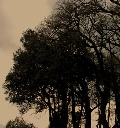 Il Casale Nella Natura * Assisi