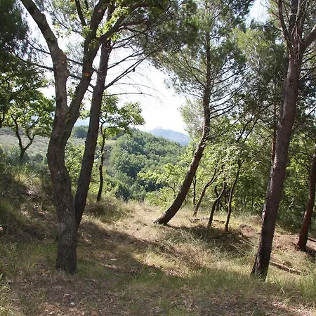 Il Casale Nella Natura *